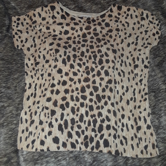 Cheetah Animal Leopard Knit cap sleeve sweater - Picture 6 of 6